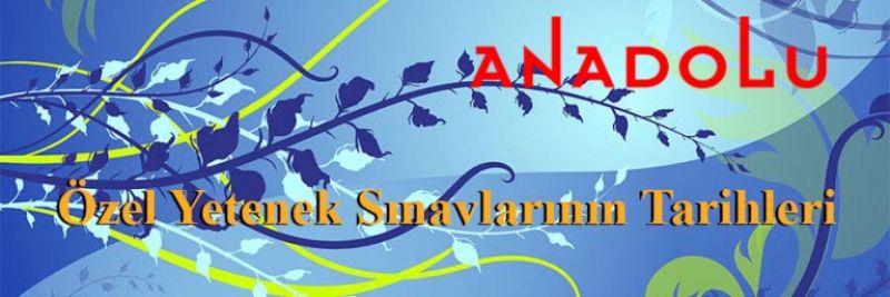Özel yetenek Sınav Tarihleri İstanbul
